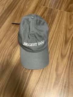 IDEA BOOKS CAP Biggest Fan