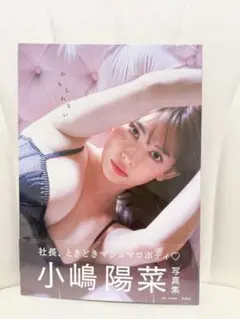 【新品未開封】小嶋陽菜　写真集　かもしれない