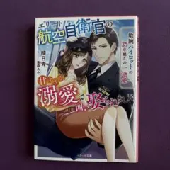 エリート航空自衛官の甘すぎる溺愛で囲い娶られました～敏腕パイロットの25年越し…