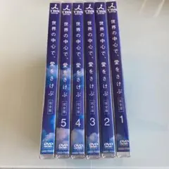 DVD 6枚組 世界の中心で,愛をさけぶ 完全版 DVD-BOX〈6枚組〉