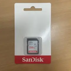 SanDisk 256GB SDXCカード