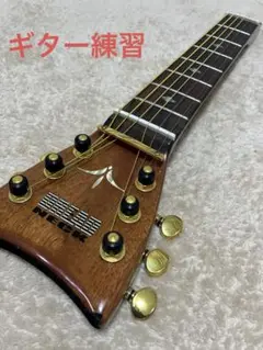 ウーロン シュレッドネック ウーロン シュレッドネック SHRED NECK Dread Neck 7 ギター練習