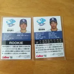 第２弾プロ野球チップスカード　中日ドラゴンズ