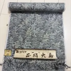 Item thumbnail for item 520b014b-01a1-4737-a8c8-2da73eb8bdfe