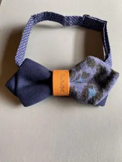 Item thumbnail for item f23ed361-3133-4175-82ad-2fe91ba15a61