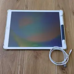 iPad pro 12.9（第1世代） Apple Pencil 充電ケーブル付