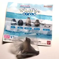 みてみて！ がんばるっ あざらし隊　　　きをつけ！ フィギュアガチャ
