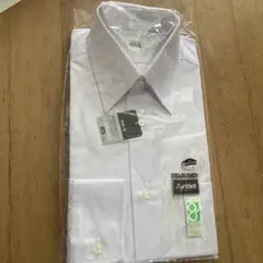 Item thumbnail for item 7d041d50-68ca-41ac-959f-a959eb720a3b