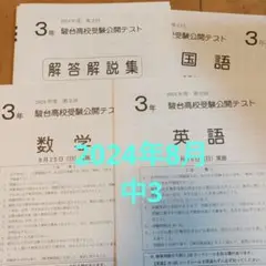 駿台模試中3 2024年8月 第2回 駿台学力テスト 高校受験 早稲アカ3T