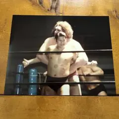 アントニオ猪木 生写真 200×250ミリサイズ 新日本プロレス 道 猪木