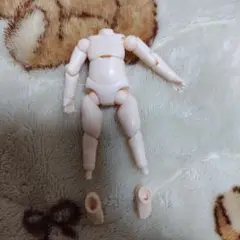 【足先のみオビツ】ねんどろいどどーる　ボディ　⑦