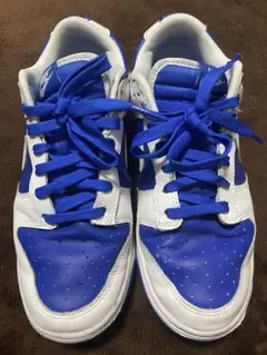 NIKE リバースケンタッキー 26.5cm