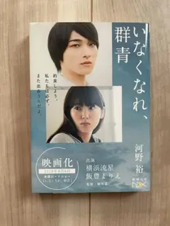 いなくなれ、群青