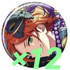 あんスタ コレクション缶バッジ 2025 May Idol 葵ひなた　12個