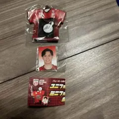 Item thumbnail for item 23d37d36-701c-4e13-8913-d94f49b9a8d1