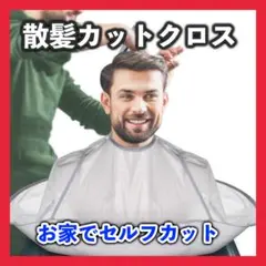 Item thumbnail for item 57a00b67-2c2c-4421-a46a-53abf540c623