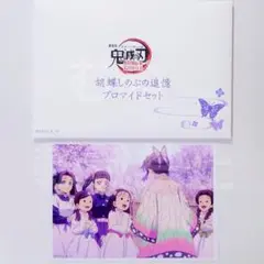 鬼滅の刃　無限城編　胡蝶しのぶの追憶ブロマイド しのぶ カナヲ アオイ