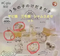 うちの子のけだまだま　シャム　三毛猫　サビ　c-pla