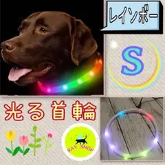 首輪 光る首輪 レインボー Sサイズ夜の散歩も安心 可愛い首輪 ペット 用品