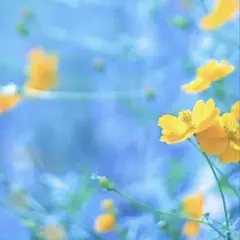 みーた4010様　専用(๑❛ᴗ❛๑)ノ