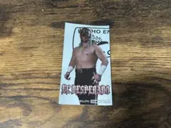 新日本プロレス エル・デスペラード 選手ブロマイドシール ステッカー