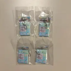 サンリオキャラクターズ タイルシールミニチュアチャーム