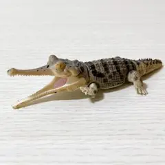 いきもの大図鑑レプティ　ワニ　ガビアル　ライト　ガチャガチャ