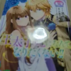 王太子妃になんてなりたくない!! 2
