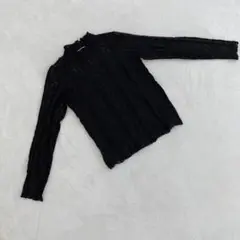 ⭐レイカズン⭐カットソー ハイネック 長袖 レース 花 シースルー F ブラック