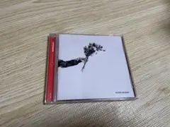 SUPER BEAVER アイラヴユー