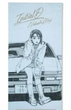 頭文字D ビジュアルパッケージフィギュア 茂木なつき 頭文字D リアルモデルコレクション 茂木なつき フィギュアの通販