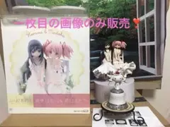 【最終値下げ】amakuni まどマギ まどかほむら フィギュア ホビージャパン 劇場版 魔法少女まどか☆マギカ」 暁美ほむら&鹿目まどか