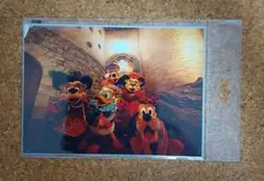 ディズニー　Imaging the Magic Photo