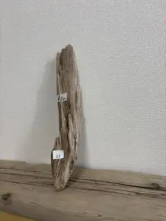 Item thumbnail for item 41601097-2f12-471f-a876-178008e5215d