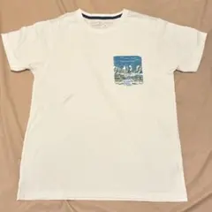 patagonia パタゴニア Tシャツ M