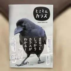 とことんカラス