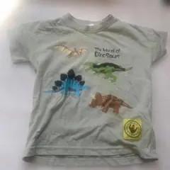 恐竜イラスト Tシャツ ライトグリーン