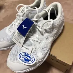 新品 ミズノ MIZUNO マキシマイザー25 メンズ 26.0 通学 白 白色