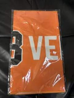読売巨人軍 長嶋茂雄追悼試合 FO3VERタオル（オレンジ）＆ステッカー