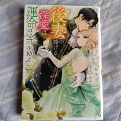 後妻の捧げる深愛は運命の糸を紡ぐ