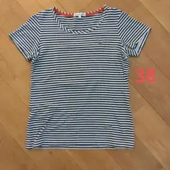 LACOSTE ボーダー Tシャツ 38