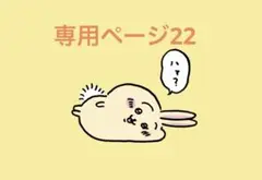 専用ページ22