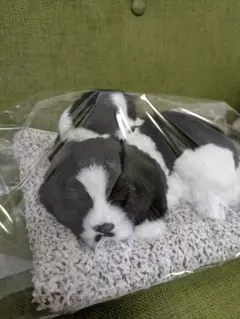ボーダーコリー　ぬいぐるみ消臭剤