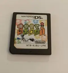 ニンテンドーDSソフト 咲かせて！ちびロボ