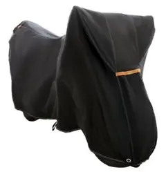 Item thumbnail for item 4d34c28a-372f-4bb8-b198-f6f20efbde84