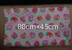 ③いちご柄生地 80cm x 45cm