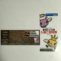 東京ドイツ村 アロハガーデンたてやま 招待券