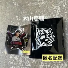 阪神タイガース 大山悠輔 ピンバッジファンクラブ特典 シークレット 応援グッズ