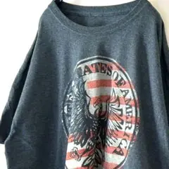 イーグル ユナイテッド ステイツ オブ アメリカ Tシャツ グレー 古着
