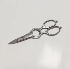 Item thumbnail for item e1ae4407-42f8-4da9-8fef-61fbaabf2fdc